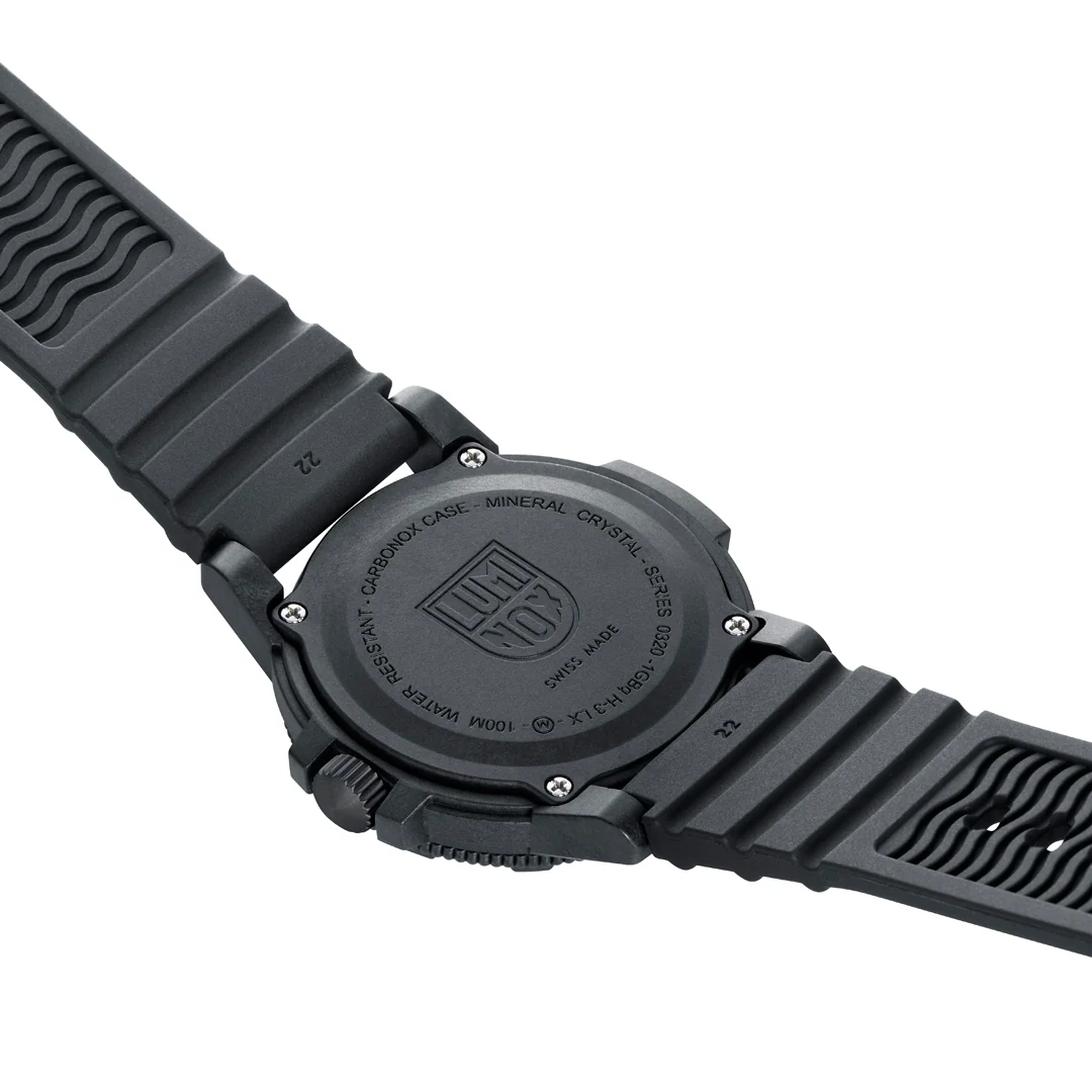 Leatherback SEA Turtle - XS.0330 - Image 9